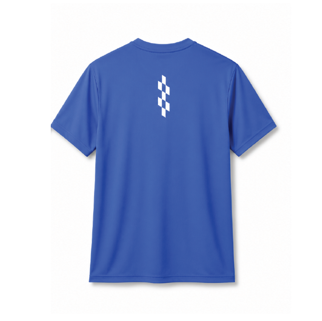Ladakh Easy Run Men Tee